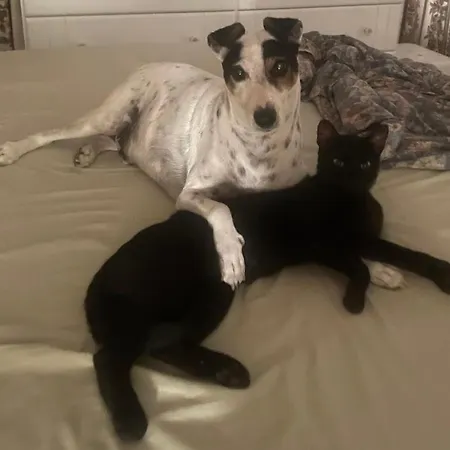 Merzuq House Homestay szállás *