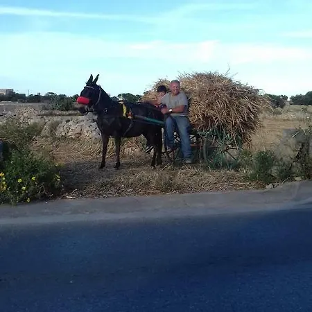 民宿 梅尔祖民宿