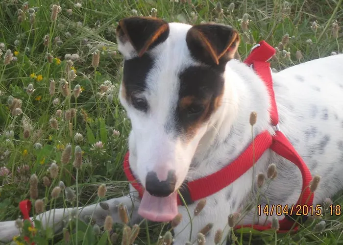 בית אירוח Merzuq House *